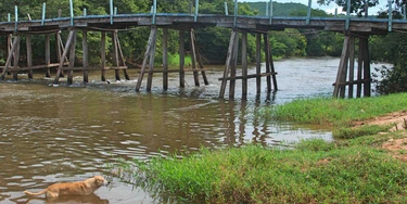 Parte final do Rio Arrojado flui a 40 litros por segundo na estação seca o que deveria ocorrer na época chuvosa, segundo ambientalista.