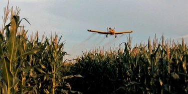 Agrônomos do Paraná estão sendo investigados por receitar agrotóxicos num ritmo sobrehumano Agrônomos do Paraná estão sendo investigados por receitar agrotóxicos num ritmo sobrehumano