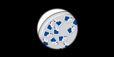 Monsanto orquestrou o esforço do Partido Republicano para intimidar pesquisadores Monsanto orquestrou o esforço do Partido Republicano para intimidar pesquisadores