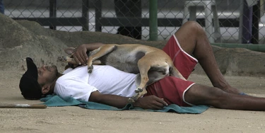 Birdie a film by FOV Birdie a film by FOV