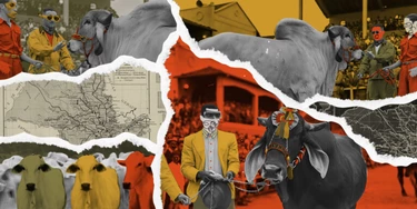 Nome aos bois: como empresários legalizam desmonte ambiental no Brasil Nome aos bois: como empresários legalizam desmonte ambiental no Brasil
