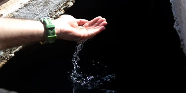 Centrão nutrido, Nordeste com sede Centrão nutrido, Nordeste com sede