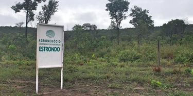 Placa da Agronegócio Estrondo em área de Cerrado no Oeste da Bahia.