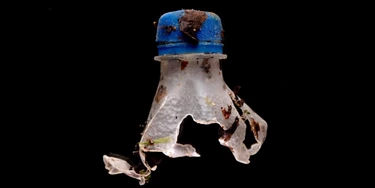 Pedaço de garrafa de plástico encontrado em Mothecombe Beach, na foz do Estuário do Erme, em South Devon, na Inglaterra, em 30 de maio. Pedaço de garrafa de plástico encontrado em Mothecombe Beach, na foz do Estuário do Erme, em South Devon, na Inglaterra, em 30 de maio.