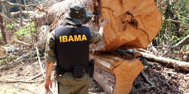 Ibama contraria técnicos e entrega chefia estratégica a funcionário da Abin Ibama contraria técnicos e entrega chefia estratégica a funcionário da Abin