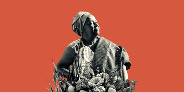 Ilustração: Intercept Brasil; Conaq Ilustração: Intercept Brasil; Conaq