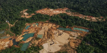 Território Kapaypó tem sido alvo de constantes invasões de terra no Pará. Território Kapaypó tem sido alvo de constantes invasões de terra no Pará.