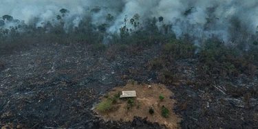 Cujubim, RO, 04.09.2024. Queimada cerca a casa de uma fazenda dentro da Estação Ecológica Soldado da Borracha, em Rondônia. (Foto: Lalo de Almeida/ Folhapress) Cujubim, RO, 04.09.2024. Queimada cerca a casa de uma fazenda dentro da Estação Ecológica Soldado da Borracha, em Rondônia. (Foto: Lalo de Almeida/ Folhapress)