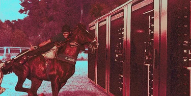 Falta de regras faz data center do TikTok no Ceará ter licença ambiental igual a parque de vaquejada Falta de regras faz data center do TikTok no Ceará ter licença ambiental igual a parque de vaquejada