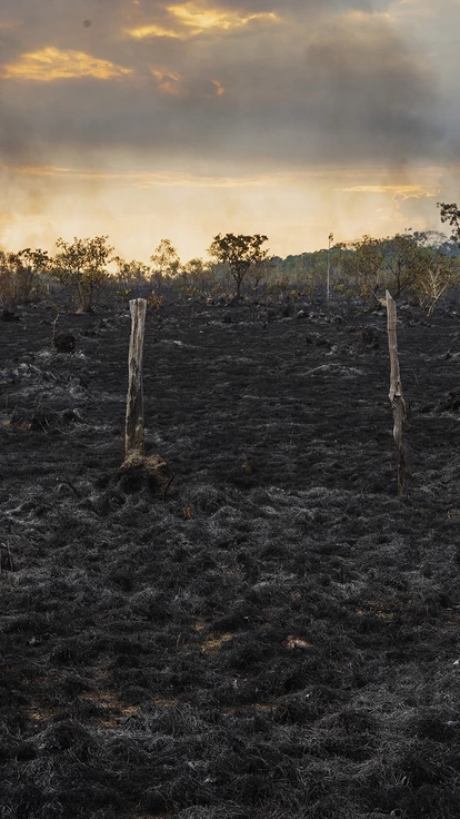 Área de pasto queimado às margens da BR-319 próxima a Humaitá, cidade ao sul do Amazonas.