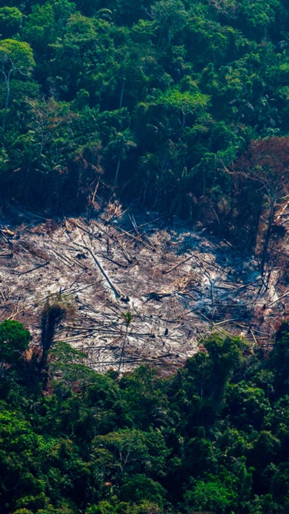 Paranoia com invasões, indígenas, quilombolas e ambientalistas alimenta proposta para ocupar uma das partes mais preservadas da Amazônia no Pará. Na foto, o desmatamento na terra indígena Menkragnoti, em  Altamira, em agosto passado.