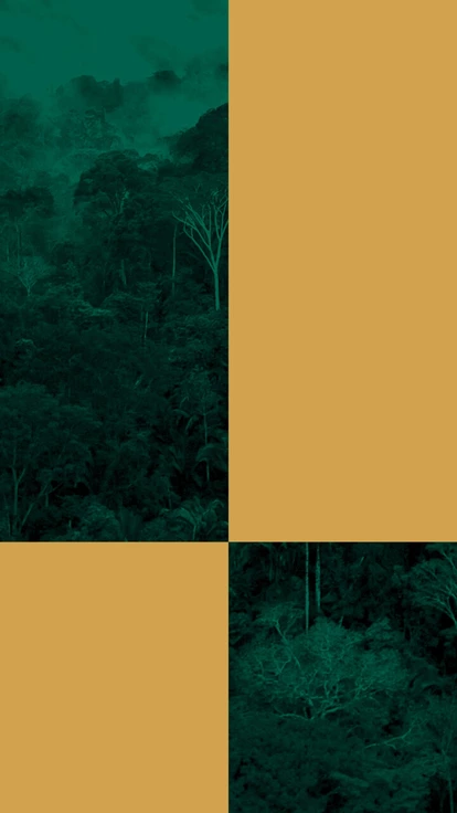 Gana Gold tem licença para operação de pequeno porte, mas possui maquinário pesado e faturou R$ 1,1 bilhão desde 2020. PF investiga a empresa. Gana Gold tem licença para operação de pequeno porte, mas possui maquinário pesado e faturou R$ 1,1 bilhão desde 2020. PF investiga a empresa.