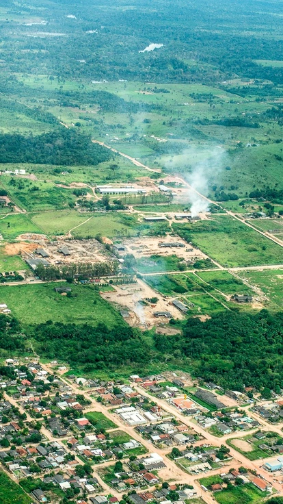 Grileiros comandam avanço da fronteira agropecuária sobre a floresta