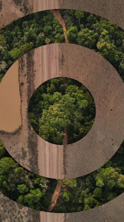Jeferson Rodrigues e irmãos Delmir e Augustinho Alba lideraram o maior desmatamento contínuo já registrado na Amazônia.