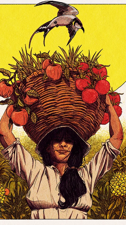 Como a reforma agrária transformou um latifúndio escravagista em agrofloresta produtiva no Pará Como a reforma agrária transformou um latifúndio escravagista em agrofloresta produtiva no Pará