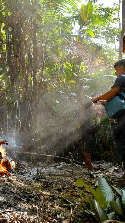 Povo Ka’apor pediu ajuda ao Ibama e Funai, mas o reforço não chegou. Órgãos alegam que próprios indígenas provocaram fogo, mas cruzamento de dados indica que focos começaram em fazendas vizinhas. Povo Ka’apor pediu ajuda ao Ibama e Funai, mas o reforço não chegou. Órgãos alegam que próprios indígenas provocaram fogo, mas cruzamento de dados indica que focos começaram em fazendas vizinhas.