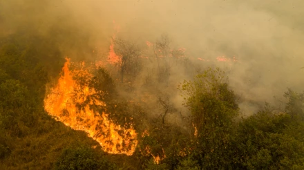 Fogo no Pantanal, rios secos no Paraguai: o colapso climático na América do Sul Fogo no Pantanal, rios secos no Paraguai: o colapso climático na América do Sul