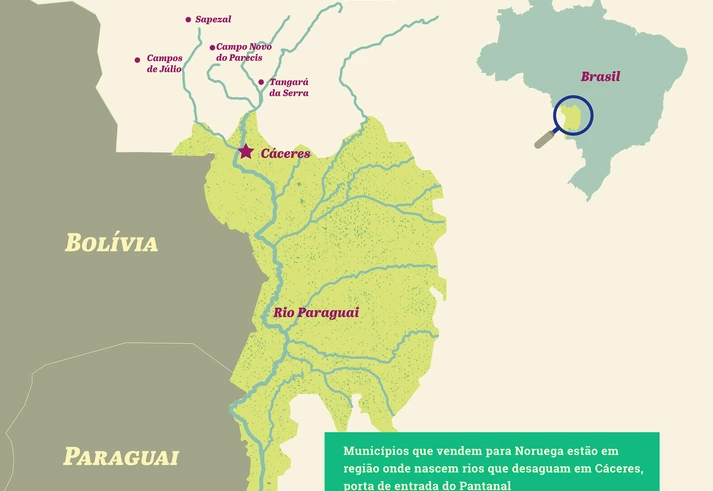 Livre da soja, Pantanal está ameaçado por agrotóxicos que chegam pelos rios