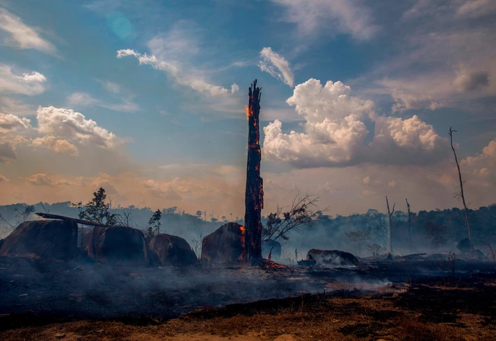 Documentos e áudios inéditos mostram plano de Bolsonaro para povoar Amazônia contra chineses, ONGs e Igreja Católica