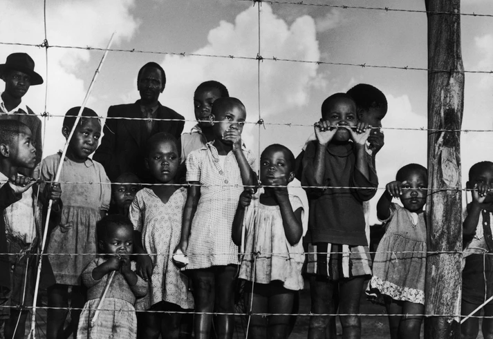 Apartheid à brasileira: como a falácia da democracia racial escondeu o racismo das leis