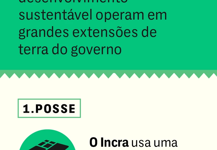 Dorothy Stang foi assassinada porque queria salvar a Amazônia. Esta é a sua segunda morte