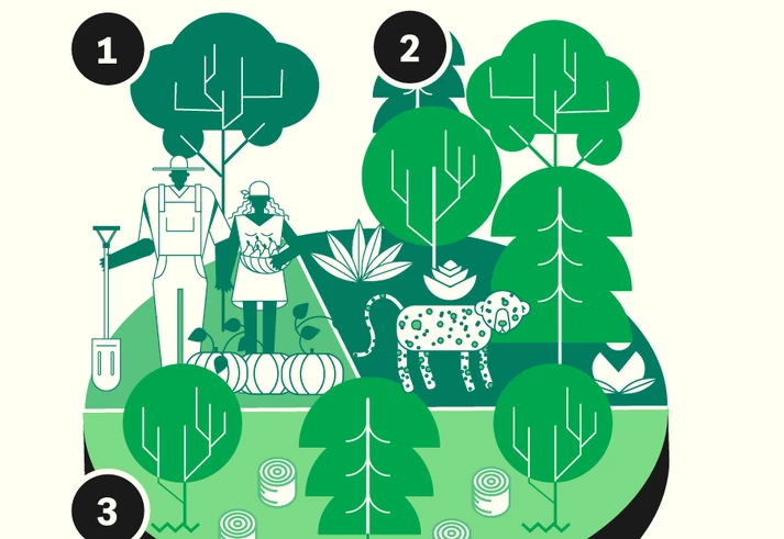 Dorothy Stang foi assassinada porque queria salvar a Amazônia. Esta é a sua segunda morte