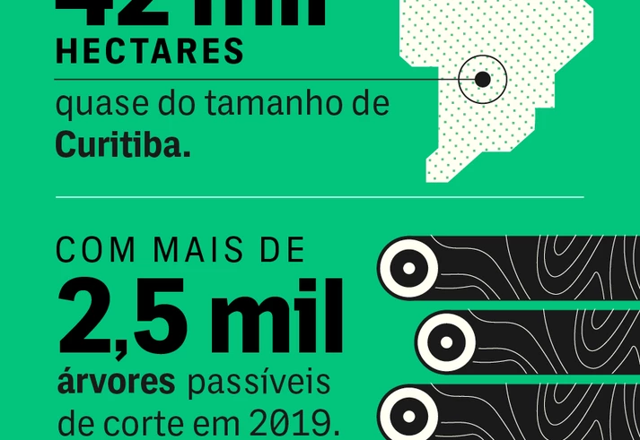 Dorothy Stang foi assassinada porque queria salvar a Amazônia. Esta é a sua segunda morte