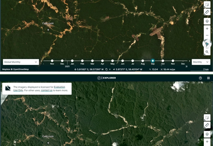 Mineradora canadense na Amazônia aproveita boiada para explorar ouro mesmo sem licença ambiental