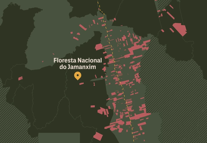 Profissionais colocam estado a serviço da grilagem de terras públicas na Amazônia