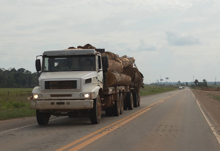 Com Bolsonaro, Ministério do Meio Ambiente abriu mão de área na Amazônia onde madeireiros derrubaram 45 mil caminhões de árvores