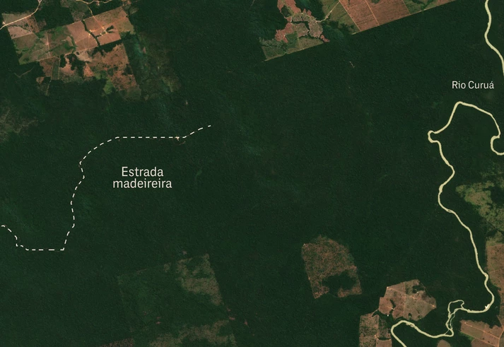 Trio se apropria de terras públicas na Amazônia e transforma em pasto área avaliada em R$ 100 milhões