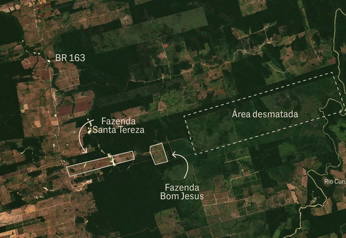 Trio se apropria de terras públicas na Amazônia e transforma em pasto área avaliada em R$ 100 milhões