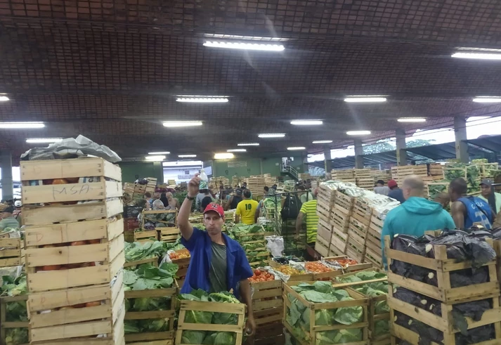 Coronavírus: ‘as pessoas dizem com orgulho que não se cuidam’, diz funcionária da Ceasa, do Rio