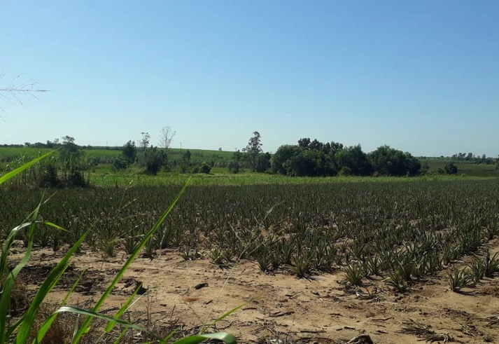 Evangélicos estão tomando o lugar dos católicos no MST do Rio