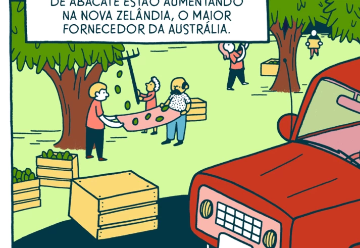 A moda do abacate e seus impactos indesejados