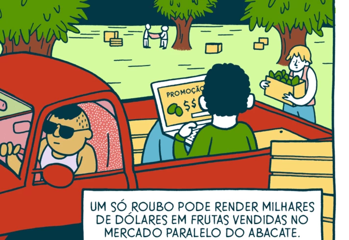 A moda do abacate e seus impactos indesejados