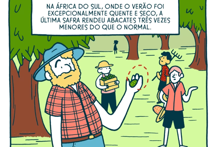 A moda do abacate e seus impactos indesejados