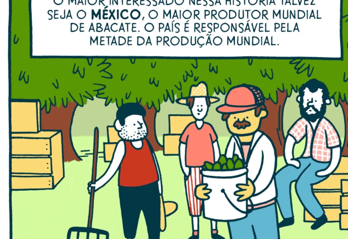 A moda do abacate e seus impactos indesejados