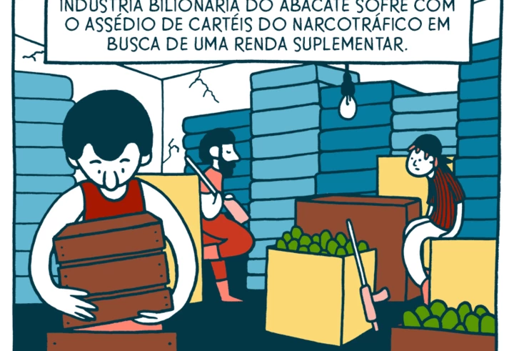 A moda do abacate e seus impactos indesejados