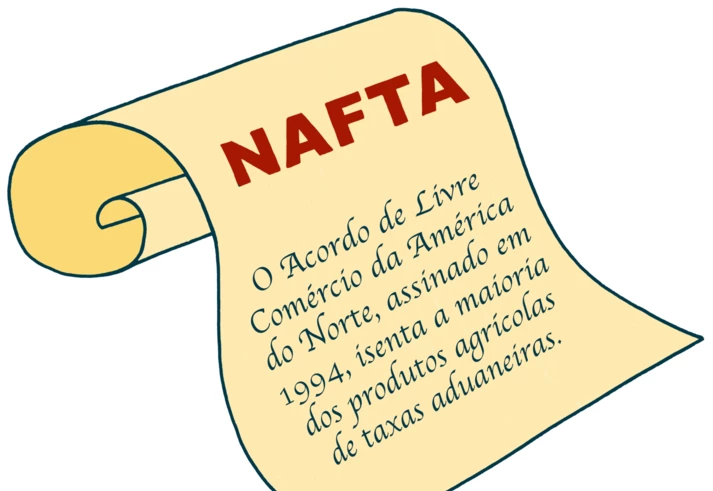 A moda do abacate e seus impactos indesejados