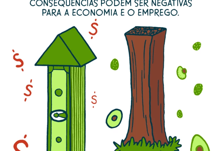 A moda do abacate e seus impactos indesejados