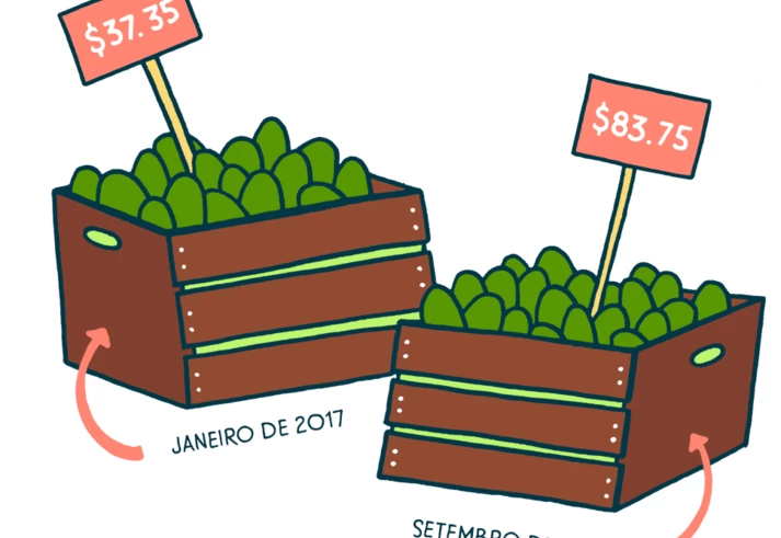 A moda do abacate e seus impactos indesejados