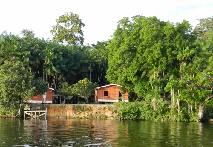 Empresário norte-americano vende discurso ambiental, mas lucra com terras públicas e gera conflitos entre ribeirinhos no Pará Empresário norte-americano vende discurso ambiental, mas lucra com terras públicas e gera conflitos entre ribeirinhos no Pará