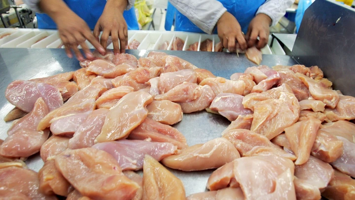 CHONBURI, THAILAND - JULY 9:  Chicken breasts get sorted at the Thai Poultry Group (TPG) chicken processing and slaughtering factory July 9, 2005 in Chonburi, Thailand. The factory has 1,200 employees that are able to deal with 10,000 birds per hour at full capacity. However since Bird Flu outbreak, the processing plant has had to cut its production almost 40%. The Thai Poultry Group exports to European Union, Japan, Middle East, Hong Kong and South Korea.  (Photo by Paula Bronstein/Getty Images) CHONBURI, THAILAND - JULY 9:  Chicken breasts get sorted at the Thai Poultry Group (TPG) chicken processing and slaughtering factory July 9, 2005 in Chonburi, Thailand. The factory has 1,200 employees that are able to deal with 10,000 birds per hour at full capacity. However since Bird Flu outbreak, the processing plant has had to cut its production almost 40%. The Thai Poultry Group exports to European Union, Japan, Middle East, Hong Kong and South Korea.  (Photo by Paula Bronstein/Getty Images)