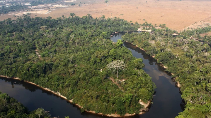 An area of Amazon forest cleared by the AJ Vilela gang near the Baú indigenous reserve.