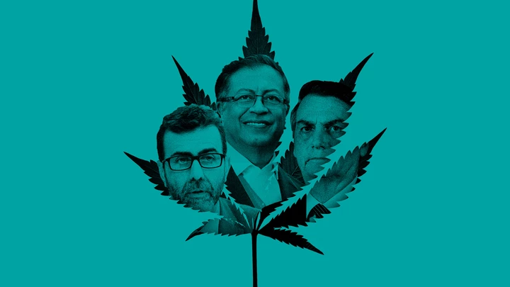 Cannabis Cannabis