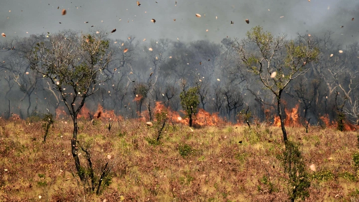 A esquerda latino-americana precisa dar uma resposta sobre a Amazônia: será que ela consegue rejeitar petróleo, pecuária e mineração? A esquerda latino-americana precisa dar uma resposta sobre a Amazônia: será que ela consegue rejeitar petróleo, pecuária e mineração?
