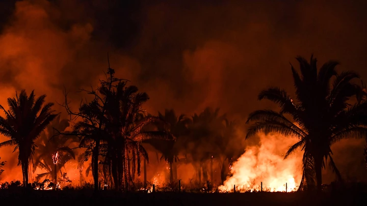 Incêndio florestal às margens da BR-163 em Itaituba, no Pará, em setembro de 2019.