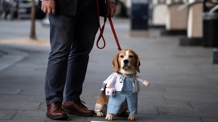 Um cachorro vestido de médico passeia do lado de fora de um hospital em Londres durante o #clapforourcares (aplausos para nossos cuidadores, em tradução livre).
