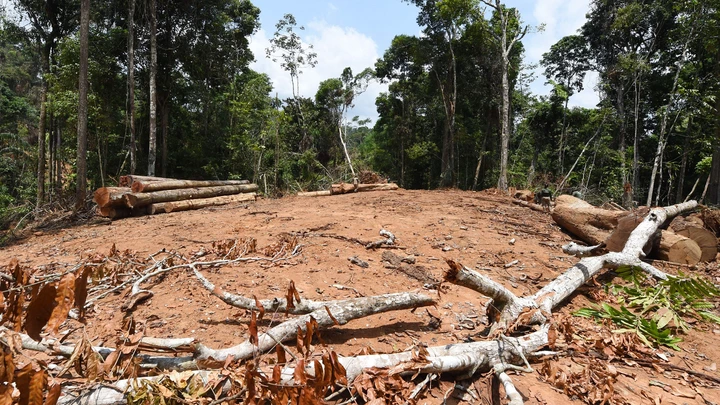 Picture of a deforested area taken during surveillance by officials from Para State, northern Brazil, in the Amazon rain forest in the municipality of Pacaja, 620 km from the capital Belem, on September 22, 2021. - The Amazon basin has, until recently, absorbed large amounts of humankind's ballooning carbon emissions, helping stave off the nightmare of unchecked climate change. But studies indicate the rainforest is hurtling toward a "tipping point," at which it will dry up and turn to savannah, its 390 billion trees dying off en masse. Already, the destruction is quickening, especially since far-right President Jair Bolsonaro took office in 2019 in Brazil -- home to 60 percent of the Amazon -- with a push to open protected lands to agribusiness and mining. (Photo by EVARISTO SA / AFP) (Photo by EVARISTO SA/AFP via Getty Images)